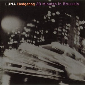 Hedgehog / 23 Minutes in Brussels