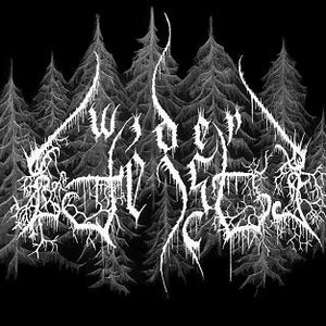 Avatar for Widergeist