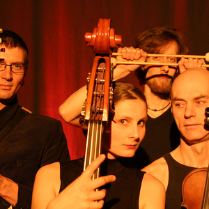 Transsylvanians photo provided by Last.fm