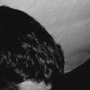 Avatar for coldhand