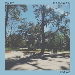 I'm Not Over You
