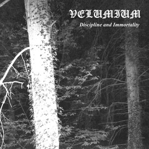 Velumium 的头像