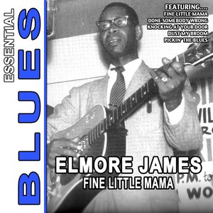 Fine Little Mama - Essential Blues