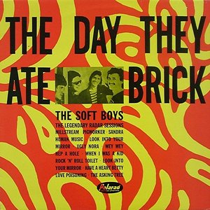 The Day They Ate Brick