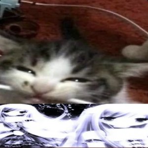 Avatar for SHAGGYX999