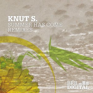 Summer Has Come (Remixes)