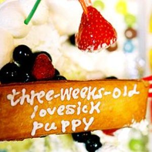 Three-weeks-old lovesick puppy 的头像