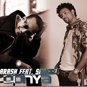 Image for 'ARASH/SHAGGY'