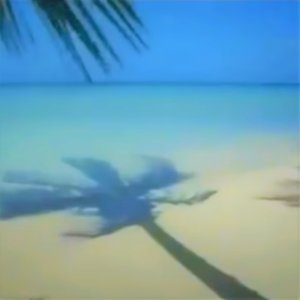 shallowsands浅い砂