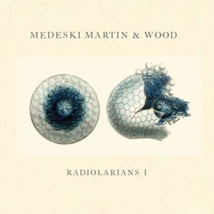 'Radiolarians 1' için resim