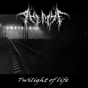 Twilight Of Life - Single