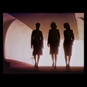 echoflange 的头像