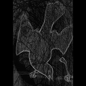 Among the Stars cover