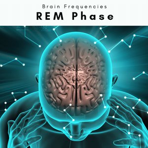 REM Phase
