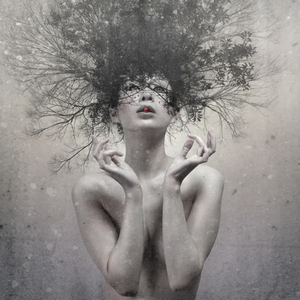 Elektrik People - Every Day Is Exactly The Same - Zortam Music