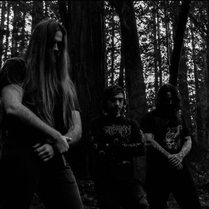 Vile Rites のアバター