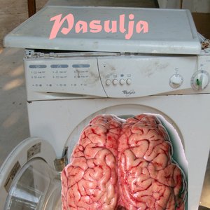 “Pansulja”的封面