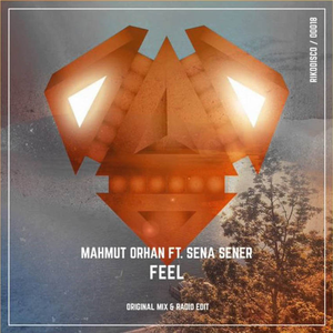 Feel (feat. Sena Sener) [Radio Edit] 아트워크