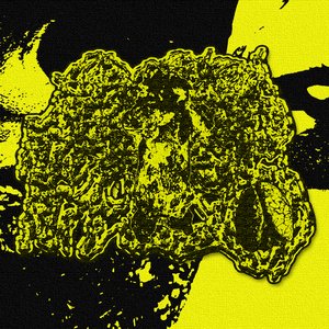 Avatar for Umbilicalingest Vaginalamygdalaqueanthropophagian Regorge