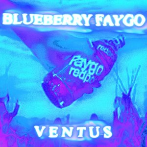 BLUEBERRY FAYGO