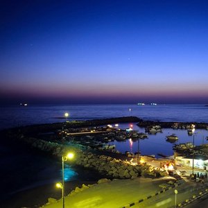 Avatar for The Tartus
