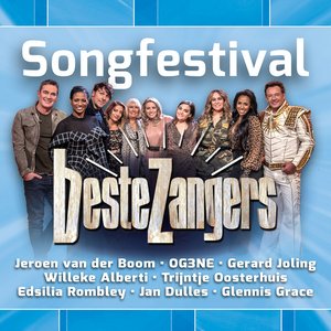 Beste Zangers Songfestival