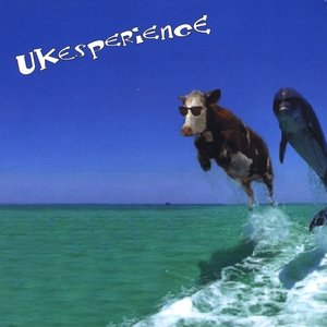 Ukesperience