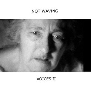 Voices II