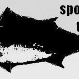 Avatar for Spooky Tuna