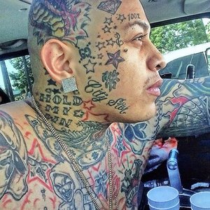 D. Flores 的头像