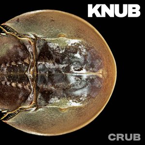 CRUB