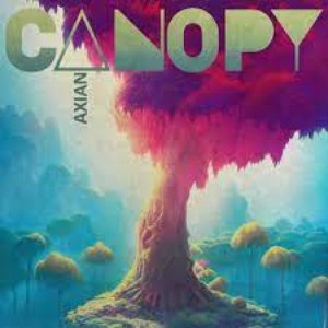 Canopy