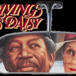 Driving Miss Daisy 的头像