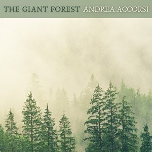 The Giant Forest