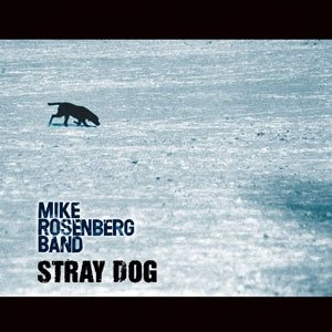 Stray Dog