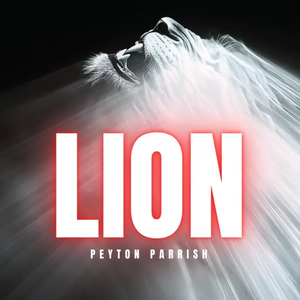 Peyton Parrish - LION Lyrics - Zortam Music