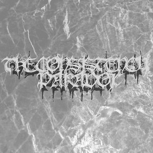 “The Consistency Paradox”的封面