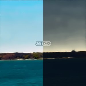 Ant Zoo