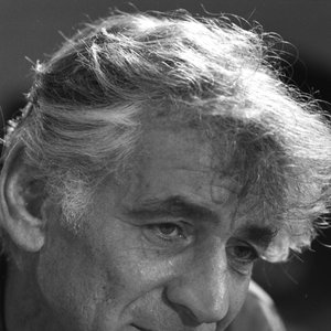 Leonard Bernstein: Vienna Philharmonic Orchestra 的头像