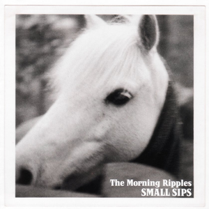 Miss Shiva - The Morning Ripples - Zortam Music