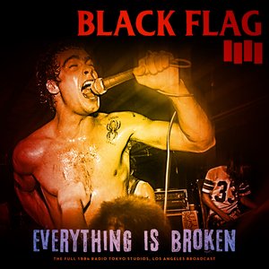 Black Flag - Everything Is Broken - Zortam Music
