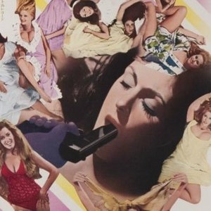 Freddie Dredd - Viva Nao Mais - Zortam Music