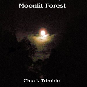 Moonlit Forest