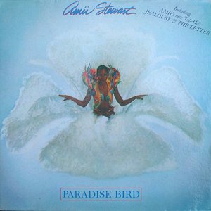 Paradise Bird