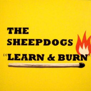 “Learn and Burn”的封面