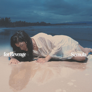 Artwork for Semula