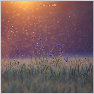 Flowers of the Field
