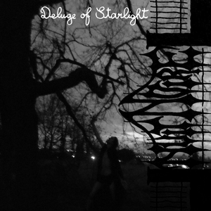 Deluge of Starlight cover