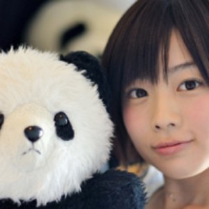 “PANDA 1/2”的封面