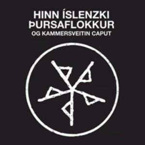 Hinn Islenski Þursaflokkurinn 的头像